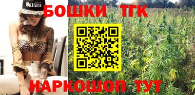 индика Лесосибирск