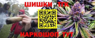 индика Лесосибирск