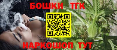 индика Лесосибирск