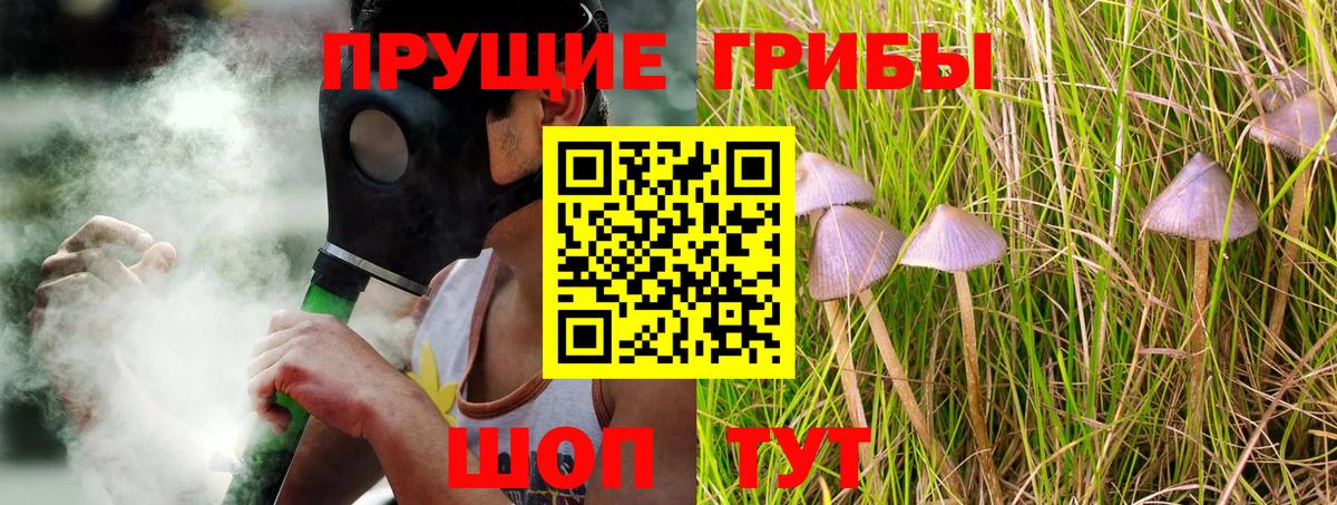Псилоцибиновые грибы GOLDEN TEACHER  Вход с VPN  Алексин 