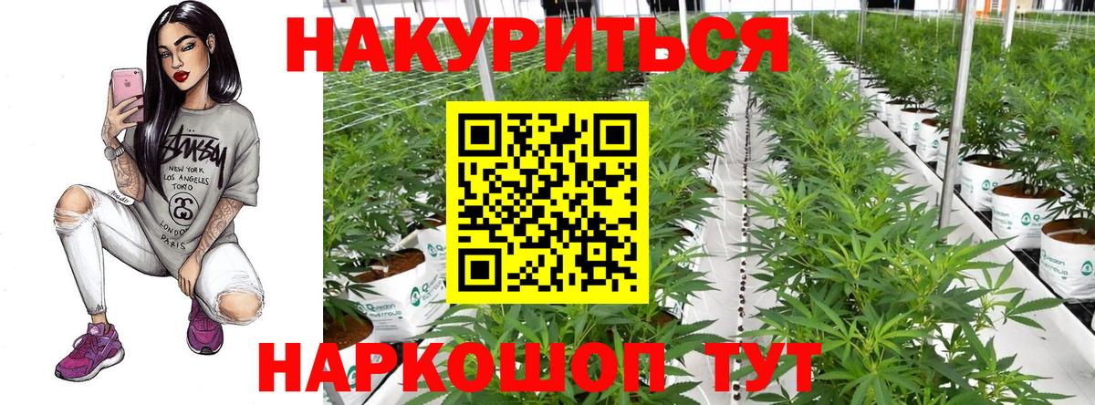 Конопля White Widow  Марихуана тримм  Алексин  Марихуана план  Вход с VPN 